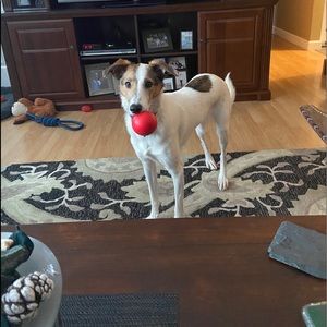 Meet your Posher, Stephen